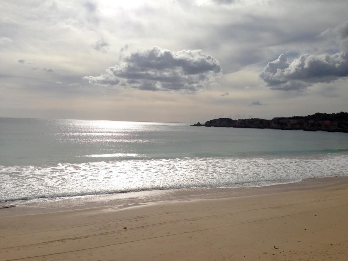 Sofiamarholidays- Casa Levante *